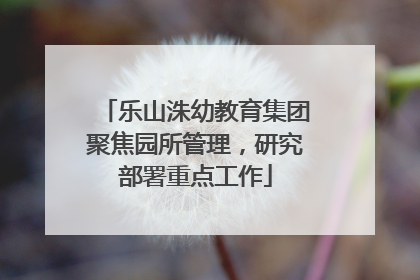 乐山洙幼教育集团聚焦园所管理，研究部署重点工作
