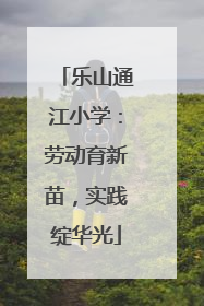 乐山通江小学：劳动育新苗，实践绽华光