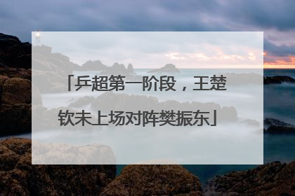 乒超第一阶段，王楚钦未上场对阵樊振东