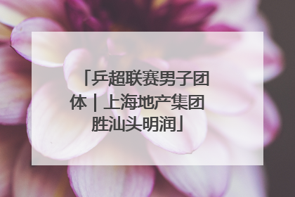 乒超联赛男子团体｜上海地产集团胜汕头明润