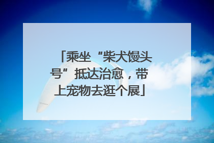 乘坐“柴犬馒头号”抵达治愈，带上宠物去逛个展