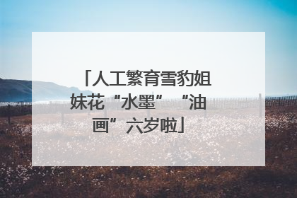 人工繁育雪豹姐妹花“水墨”“油画”六岁啦