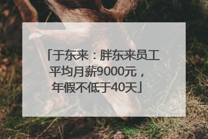 于东来：胖东来员工平均月薪9000元，年假不低于40天