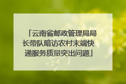 云南省邮政管理局局长带队暗访农村末端快递服务质量突出问题