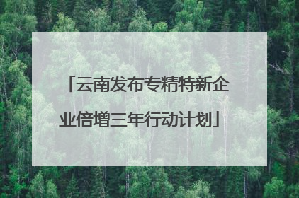 云南发布专精特新企业倍增三年行动计划