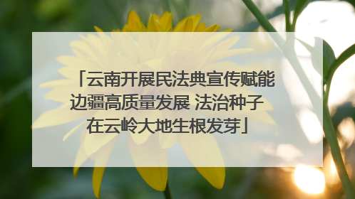 云南开展民法典宣传赋能边疆高质量发展 法治种子在云岭大地生根发芽