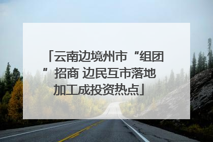 云南边境州市“组团”招商 边民互市落地加工成投资热点