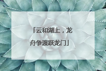 云和湖上，龙舟争渡跃龙门