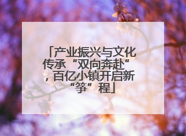 产业振兴与文化传承“双向奔赴”，百亿小镇开启新“筝”程
