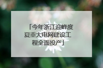 今年浙江迎峰度夏重大电网建设工程全面投产