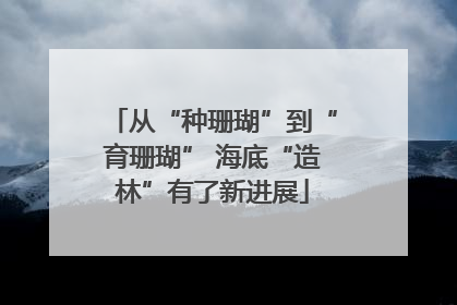 从“种珊瑚”到“育珊瑚” 海底“造林”有了新进展