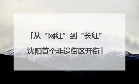 从“网红”到“长红” 沈阳首个非遗街区开街