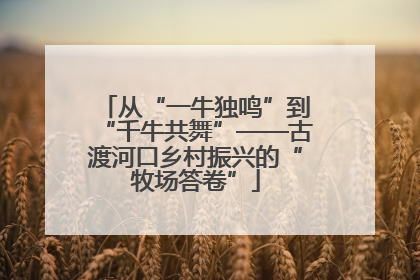 从“一牛独鸣”到“千牛共舞”——古渡河口乡村振兴的“牧场答卷”