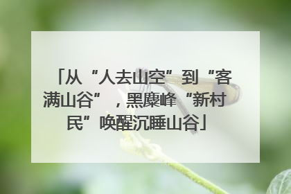 从“人去山空”到“客满山谷”，黑麋峰“新村民”唤醒沉睡山谷