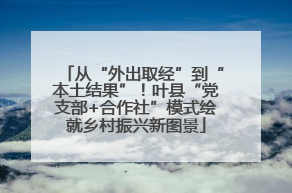 从“外出取经”到“本土结果”！叶县“党支部+合作社”模式绘就乡村振兴新图景