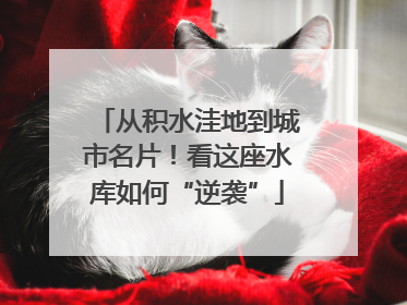 从积水洼地到城市名片！看这座水库如何“逆袭”