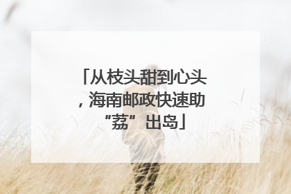 从枝头甜到心头，海南邮政快速助“荔”出岛