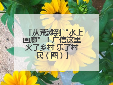 从荒滩到“水上画廊”！广信这里火了乡村 乐了村民（图）