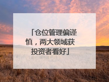 仓位管理偏谨慎，两大领域获投资者看好