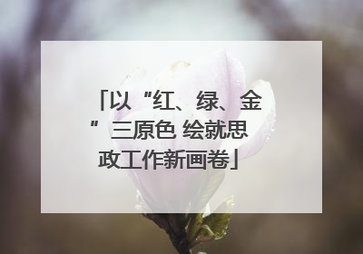 以“红、绿、金”三原色 绘就思政工作新画卷