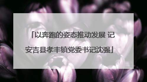 以奔跑的姿态推动发展 记安吉县孝丰镇党委书记沈强