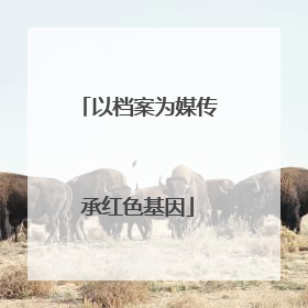 以档案为媒传承红色基因