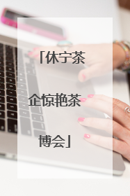 休宁茶企惊艳茶博会
