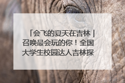 会飞的夏天在吉林｜召唤最会玩的你！全国大学生校园达人吉林探线活动招募中