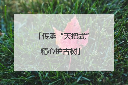 传承“天把式” 精心护古树