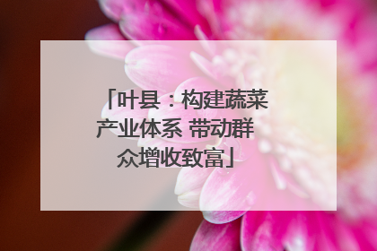 叶县：构建蔬菜产业体系 带动群众增收致富