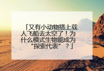 又有小动物搭上载人飞船去太空了！为什么模式生物能成为“探索代表”？