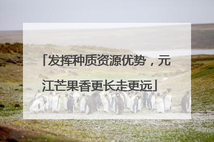 发挥种质资源优势，元江芒果香更长走更远