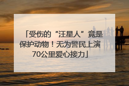 受伤的“汪星人”竟是保护动物！无为警民上演70公里爱心接力