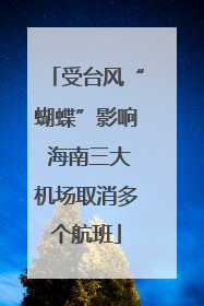 受台风“蝴蝶”影响 海南三大机场取消多个航班