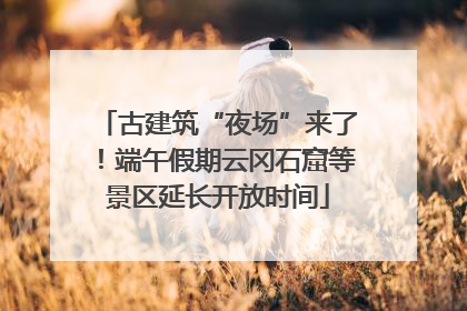 古建筑“夜场”来了！端午假期云冈石窟等景区延长开放时间