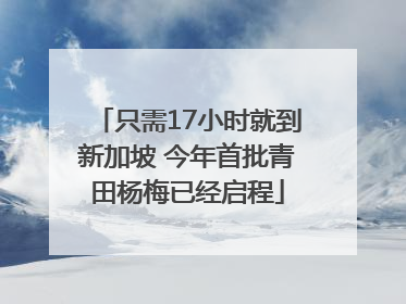 只需17小时就到新加坡 今年首批青田杨梅已经启程