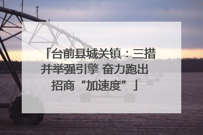 台前县城关镇：三措并举强引擎 奋力跑出招商“加速度”