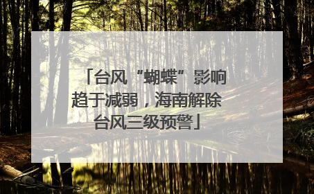 台风“蝴蝶”影响趋于减弱，海南解除台风三级预警