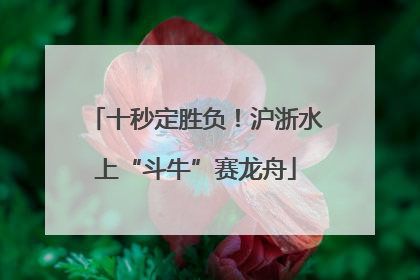 十秒定胜负！沪浙水上“斗牛”赛龙舟