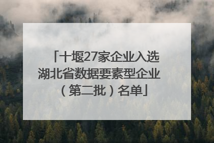 十堰27家企业入选湖北省数据要素型企业（第二批）名单