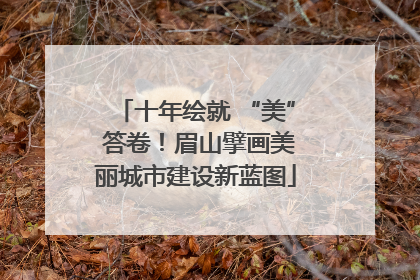 十年绘就 “美” 答卷！眉山擘画美丽城市建设新蓝图