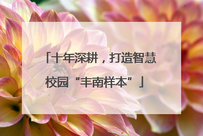 十年深耕，打造智慧校园“丰南样本”