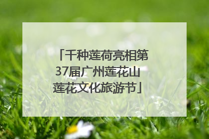 千种莲荷亮相第37届广州莲花山莲花文化旅游节