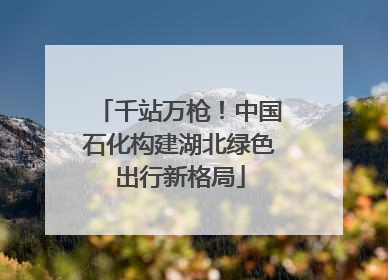 千站万枪！中国石化构建湖北绿色出行新格局