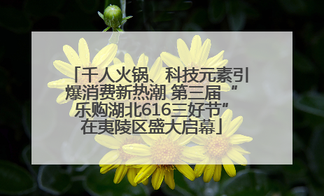 千人火锅、科技元素引爆消费新热潮 第三届“乐购湖北616三好节”在夷陵区盛大启幕