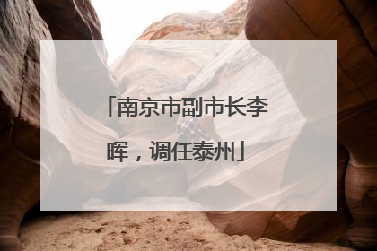 南京市副市长李晖，调任泰州