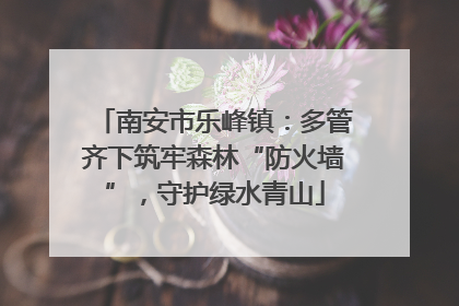 南安市乐峰镇：多管齐下筑牢森林“防火墙”，守护绿水青山