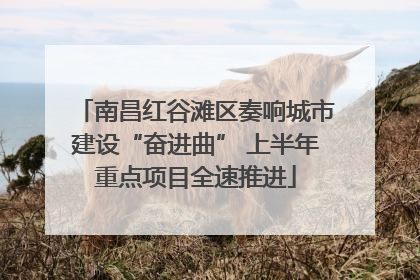 南昌红谷滩区奏响城市建设“奋进曲” 上半年重点项目全速推进