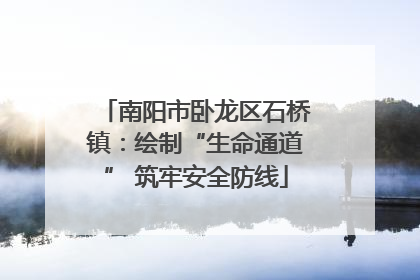 南阳市卧龙区石桥镇：绘制“生命通道” 筑牢安全防线