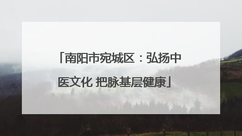 南阳市宛城区：弘扬中医文化 把脉基层健康